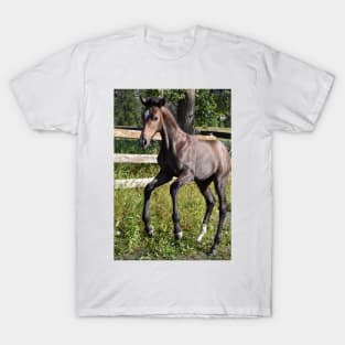 TB COLT T-Shirt